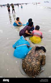 Women bath in the holy water of Gangasagar island during the annual  festival Stock Photo 