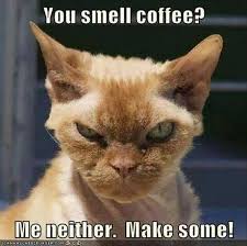 Check spelling or type a new query. 20 Funny Coffee Memes That Ll Perk Up Your Day Sayingimages Com
