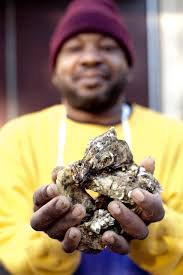 Oyster HandsSalted and Styled