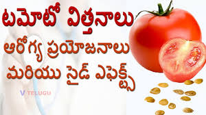 Kale meaning in telugu, kale pictures, kale pronunciation, kale translation,kale definition are included in the result of kale meaning in telugu at kitkatwords.com, a free online english telugu picture dictionary. Papaya Benefits And Side Effects In Telugu