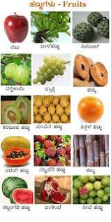 Learn Kannada Worksheets Fruits