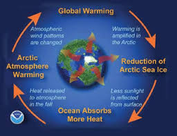 This diagram depicts the positive feedback loop that is contributing to...  | Download Scientific Diagram