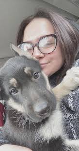 Boxer puppy growth progress