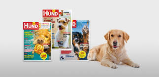 Atemnot Beim Hund Erkennen Und Richtig Reagieren