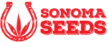 It is the best combination of 'quality delivered at light's speed.' apart from regular online stores, crop kings facilitates many retail outlets too. The 5 Best Canadian Seed Banks That Ship To Canada The Us Observer