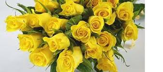 Image result for images meaning of yellow