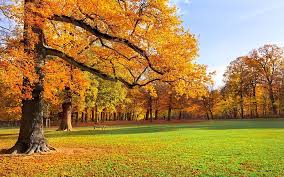 Maybe you would like to learn more about one of these? 4098x768px Free Download Hd Wallpaper Background Pictures Nature Hd Images 1920x1200 Wallpaper Flare
