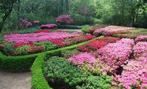 Gorgeous Gardens Every Traveler Must See Budget Travel Azaleas Garden Gorgeous Gardens Wildflower Garden