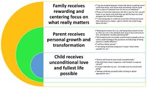 Despite this, there are some tips that can help make you a better mom or dad. Children Free Full Text Honoring The Good Parent Intentions Of Courageous Parents A Thematic Summary From A Us Based National Survey