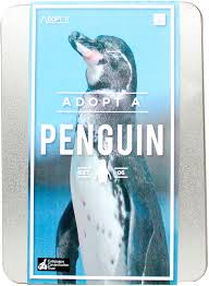 How to get a free golden penguin new adopt me penguin update! Gift Republic Gr100026 Adopt A Penguin Gift Box 2 5 Cm 22 5 Cm 16 0 Cm Amazon Co Uk Garden Outdoors