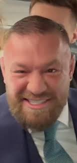 Conor McGregor confronted Logan and Jake Paul saying he'll slap them and  KSI. : r/ufc