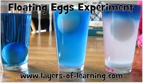 Floating Eggs Experiment Layers Of Learning Egg Experiments Floating Eggs Cool Science Experiments