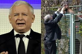 Jarosław kaczyński ma nową kotkę? Jaroslaw Kaczynski Opowiada O Swoich Kotach Jak Sie Z Nimi Bawi Serio Nie Widzimy Prezesa W Tej Roli
