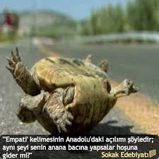 Empati Kelimesinin Anadolu Daki Acilimi Soyledir Ayni Seyi Senin Anana Bacina Yapsalar Hosuna Gider Mi Sokakedebiyati Ozlu Sozler Bir Sozleri Edebiyat