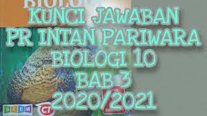 Gunakan tombol download yang tersedia kemudian buka link download yang muncul. Kunci Jawaban Biologi 10 Bab 3 Virus Youtube