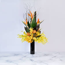 Maybe you would like to learn more about one of these? Popular Fragrant Flowers For Chinese New Year 2021 Gift Flowers Hong Kong