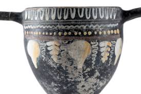 Image result for Dignathia