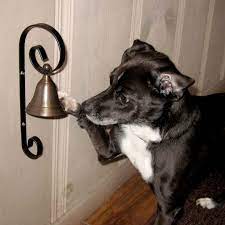 Training Your Dog To Ring A Bell To Go Out To Potty Dog Bell Dog Bell Training Dogs