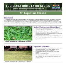 Augustine decline virus (ssadv) has been determined. Louisiana Home Lawn Series St Augustine Grass Decline