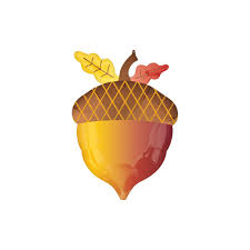 Fóliový balón žaluď