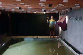 Artikel Page 14 Dunia Walet