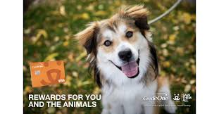 Credit one bank is among the leading credit card providers in america, serving more than 6 million credit one bank is a u.s. Credit One Bank Launches Credit Card To Support Best Friends Animal Society