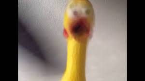 Chicken Fan Squeaky Toy Vine Youtube