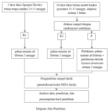 Kriteria inklusi adalah kriteria dimana subjek penelitian dapat mewakili dalam sampel penelitian yang memenuhi syarat sebagai sampel (notoatmodjo, 2002) yaitu : 2