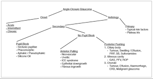 It is an emergency because if it is not treated quickly, it can lead to permanent loss of vision. The Approach To Angle Closure Glaucoma Eye News