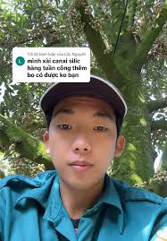 Cách Diệt Cây Chuối Theo Phong Cách Xưa