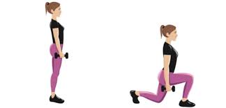 Comme son nom l'indique le quadriceps est composé de 4 muscles principaux qui se situent sur la partie antérieure de la cuisse. Les 5 Meilleurs Exercices Pour Muscler Ses Fesses Rapidement
