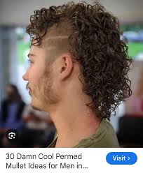 Can anybody do a mullet hairstyle tomorrow after 3?