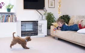 Crate training a puppy is ideal because it will allow your dog to associate a crate with safety at a young age. Luxury Dog Bed Modern 2in1 Dog Crate Furniture Fido Nook