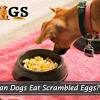 This makes it a great choice for arthritic dogs. 1
