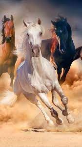 Beauty On The Fire Horse Painting Horses Horse Wallpaper