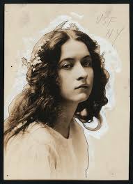 American Sapphos: Dickinson, Plath, Sexton, Millay, Teasdale, Bogan, Anne  Reeve Aldrich