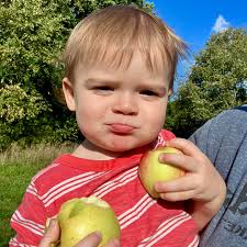 Rittman Orchards and Farm Market