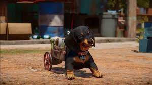 You roughly gain 2/3 of a level per . Far Cry 6 How To Unlock Chicharron As An Amigo