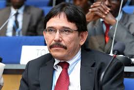 Gobierno de Nicaragua nombra nuevo representante alterno ante Naciones  Unidas