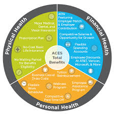 employment energy management aces