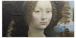 Leonardo Da Vinci Bath Towels for Sale