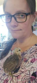 Pet Chicken with Cross Beak Needs New Home in Wenatchee Valley