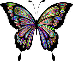 Download Butterfly Symmetry Pollinator Png Clipart Royalty Free Svg Png 3D SVG Files Ideas | SVG, Paper Crafts, SVG File