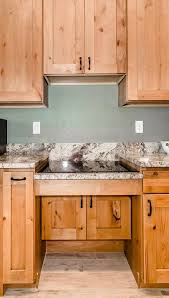 ada kitchen ideas houzz