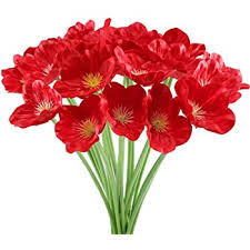 Cours complet de peinture au couteau par pascal clus, comment peindre un bouquet de coquelicots. Huaesin 20pcs Coquelicot Artificiels Fleur Rouge Bouquet Fausse Coquelicots Noel Decoration Pour Maison Mariage Table Magasin Amazon Fr Cuisine Maison