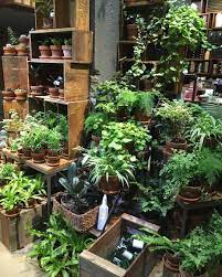 muji shop in new york with plants and realexing products newyork inspiratie planttrends interior plants plan flower shop interiors flower shop plants