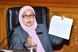 Pengerusi tetap kesihatan awam, perpaduan, pembangunan wanita dan keluarga. Take Safety Measures Says State Health Exco On Influenza A Selangor Journal