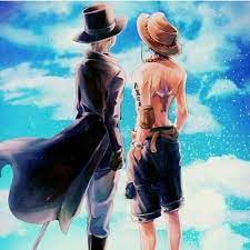 older brothers follow me for more onepiece haki mugiwara onepiece anime luffy zoro robin chopper otak エース ワンピース ルフィ かわいい ワンピース チョッパーのイラスト画像