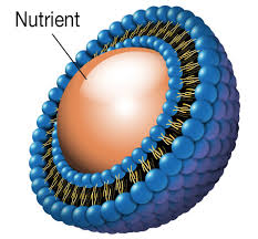 Along with the right cosmetic products, you can then use the right products to affect skin issues. Technology Biocoslab Manufacturing Sdn Bhd