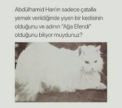Abdulhamid Han Sedef Icli Biliyor Muydunuz Gercekler Komik Seyler
